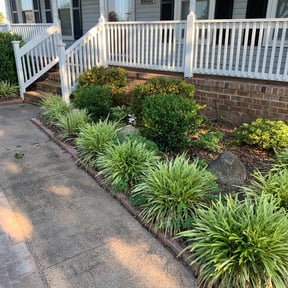 Bush Trimming by 911 elite landscaping reviewed on August 19, 2025