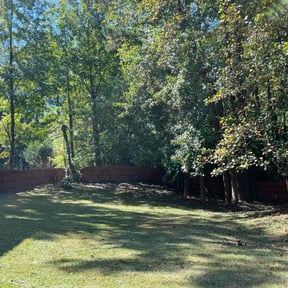 lawn care by A&L Lawncare reviewed on May 14, 2024