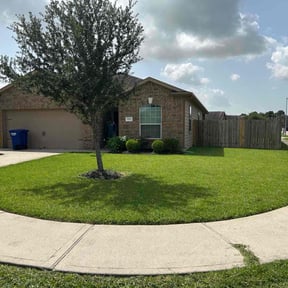 yard maintenance by Local Green Lawn Care LLC reviewed on August 20, 2025