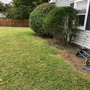Bush Trimming by Alexis perez reviewed on August 21, 2025