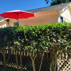 Bush Trimming by J.C. Lawn Service reviewed on August 15, 2025