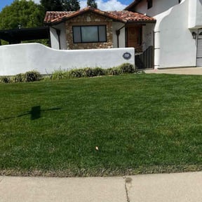 yard service by Wilson-Maintenance reviewed on August 20, 2025