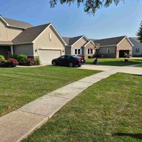 turf care by Rosas Handy Workz reviewed on August 19, 2025