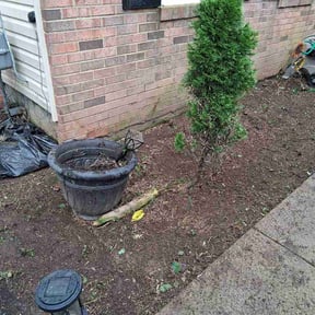 Flower Bed Weeding by Carr’s Commercial &amp; Residential Landscaping Services reviewed on August 15, 2026