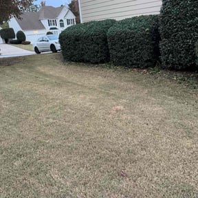 Bush Trimming by Wolverine Lawncare reviewed on October 18, 2025