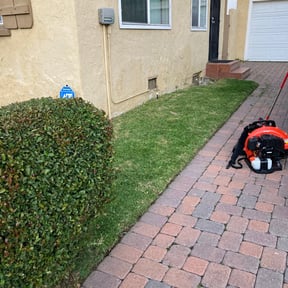 Bush Trimming by B&t lawn servicee reviewed on August 19, 2025