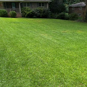 yard work by Fresh Cut Yard Workz reviewed on August 18, 2025