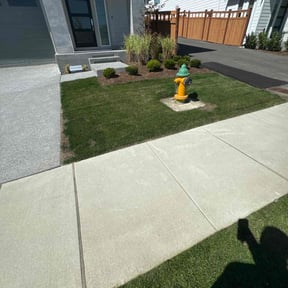 lawn care by Pristine Properties LHS reviewed on June 8, 2025