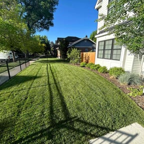 Bush Trimming by Chek'Rd Lawn Service reviewed on July 28, 2022