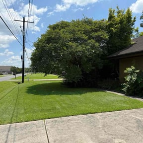 grass cutting by Essential Landscaping reviewed on August 20, 2025