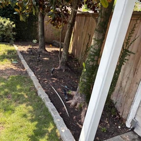 Leaf Removal by Walt Mandrick reviewed on October 3, 2025