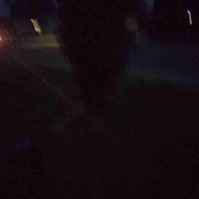 Bush Trimming by Green Thumb Agostini Lawn Care and Landscaping reviewed on March 10, 2026