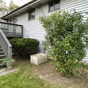 Bush Trimming by Kāäs lawn care reviewed on August 17, 2025