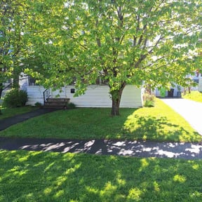 landscape maintenance by Top Turf L.L.C reviewed on December 3, 2025