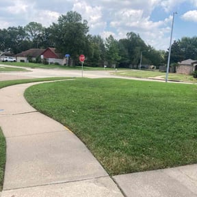 turf maintenance by Shawn&#039;s Lawns reviewed on August 18, 2025