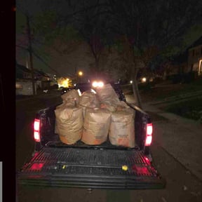 Leaf Removal by Trevor Hall reviewed on December 18, 2025