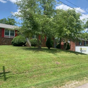 residential landscaping by Primavera Gardens reviewed on August 19, 2025