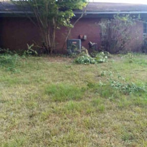 Bush Trimming by Ayala Enterprises LLC reviewed on November 24, 2025