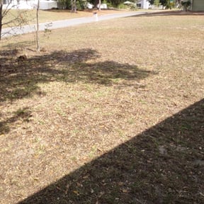 Leaf Removal by Tidewater Lawn Solutions, LLC reviewed on September 28, 2025