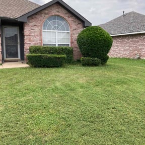 Bush Trimming by Gadsden lawncare reviewed on August 17, 2025