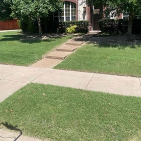 Bush Trimming by BSM & Co. Landscaping reviewed on August 15, 2025