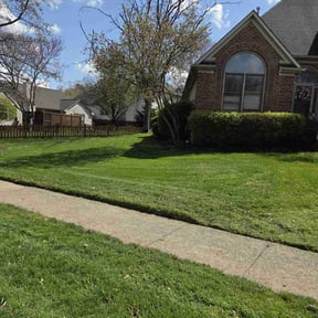 yard work by Amie's Clean Cut Lawns and More reviewed on February 5, 2026