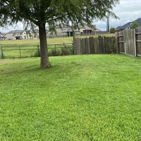 yard work by Pro-Lawn-Care 1 reviewed on August 15, 2025