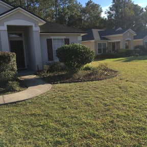 Bush Trimming by AllSum Property Services reviewed on August 21, 2025