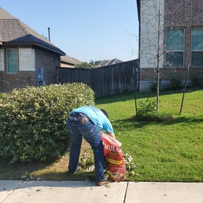 Bush Trimming by MaXX Lawn and Landscaping LLC reviewed on August 17, 2025