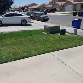 Bush Trimming by Caid's Outdoor Services llc reviewed on May 14, 2025