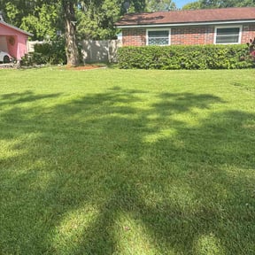 yard work by RazaSharpe lanscaping LLC reviewed on August 18, 2025