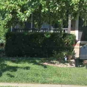 Bush Trimming by Lawn Scapes reviewed on November 9, 2025