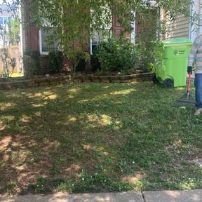 Bush Trimming by Johnsons Family Landscaping reviewed on August 18, 2025