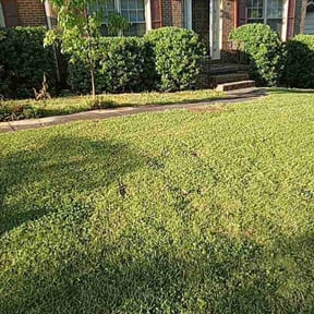 Bush Trimming by James Neely Landscape reviewed on August 18, 2025
