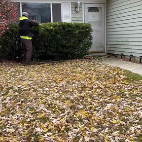 Bush Trimming by TruGreen LawnCare reviewed on November 21, 2025