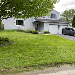 yard work by David's lawn care reviewed on August 13, 2025