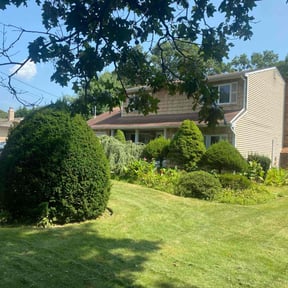 yard service by Matthews Lawn Care reviewed on August 18, 2025