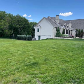 yard service by Bear foot lawns reviewed on December 10, 2025