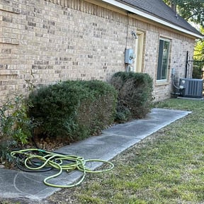 Bush Trimming by Lawns by leo reviewed on April 26, 2026