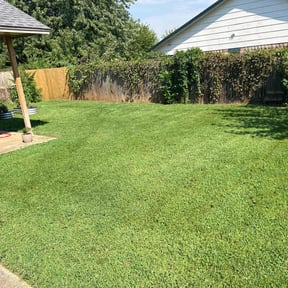 yard work by Emerald Green Lawn Care LLC reviewed on August 20, 2025