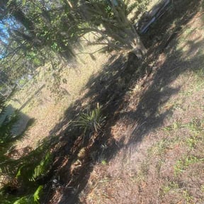 Flower Bed Weeding by On Point Lawn Care reviewed on May 7, 2026