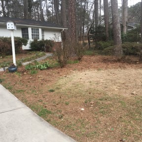 Leaf Removal by CyntMara Home and Lawns reviewed on September 15, 2025