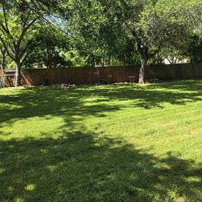 grass cutting by Pine Forest Lawn Care reviewed on August 18, 2025