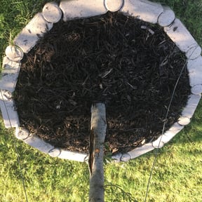 Flower Bed Weeding by T's Mow Blow & Go reviewed on August 15, 2025
