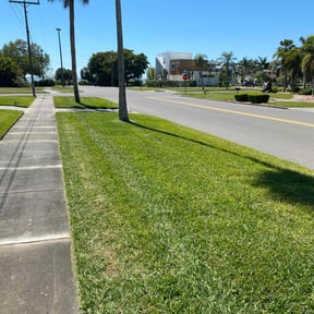 landscaping services by All Exclusive reviewed on August 16, 2025