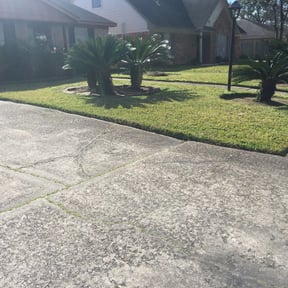 Flower Bed Weeding by All your needs lawn care reviewed on August 16, 2025