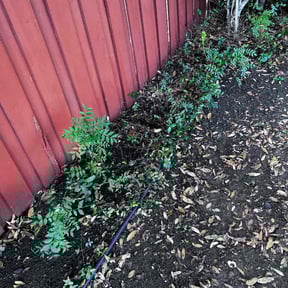 Leaf Removal by Aces reviewed on September 22, 2025