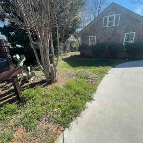 Leaf Removal by 11 lawns reviewed on March 20, 2026