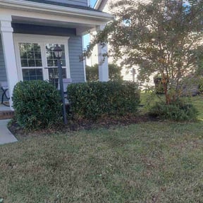 lawn care by Terrence Johnson reviewed on May 16, 2024