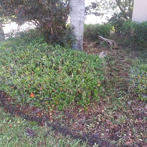 Bush Trimming by ARG Construction LLC reviewed on November 22, 2025